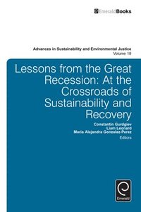 bokomslag Lessons from the Great Recession