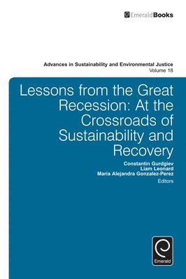 bokomslag Lessons from the Great Recession