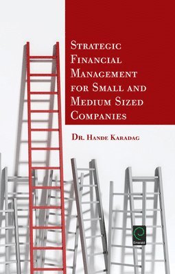 Strategic Financial Management for Small and Medium Sized Companies 1