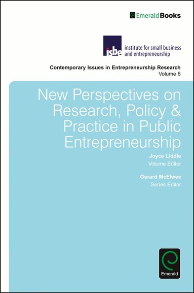 Joyce Liddle - New Perspectives on Research, Policy & Practice in Public Entrepreneurship, Inbunden