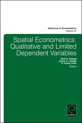 bokomslag Spatial Econometrics