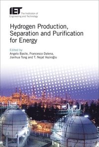 bokomslag Hydrogen Production, Separation and Purification for Energy