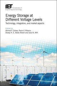 bokomslag Energy Storage at Different Voltage Levels