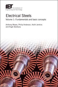 bokomslag Electrical Steels: Volume 1