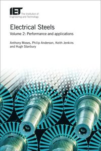 bokomslag Electrical Steels: Volume 2