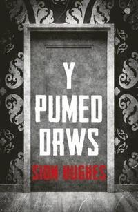 bokomslag Pumed Drws, Y