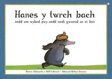 bokomslag Hanes y Twrch Bach oedd am Wybod Pwy oedd Wedi Gwneud ar ei Ben
