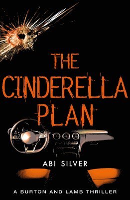 The Cinderella Plan 1