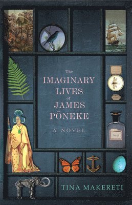 bokomslag Imaginary Lives of James Poneke