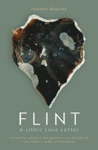 bokomslag Flint