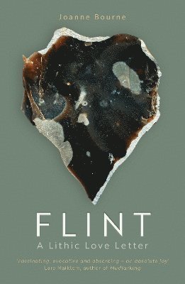 bokomslag Flint
