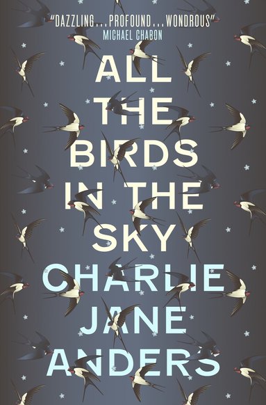 Charlie Jane Anders - All the Birds in the Sky, Häftad