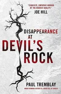 bokomslag Disappearance at Devil's Rock