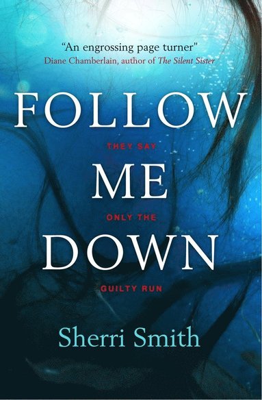 Sherri Smith - Follow Me Down, Häftad