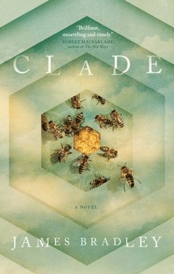 Clade 1