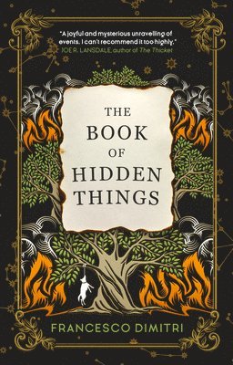bokomslag The Book of Hidden Things