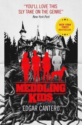 Meddling Kids 1