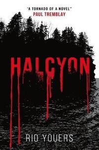 bokomslag Halcyon