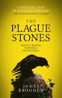bokomslag The Plague Stones