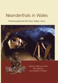 bokomslag Neanderthals in Wales