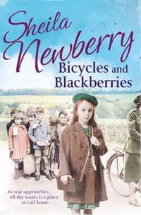bokomslag Bicycles and Blackberries