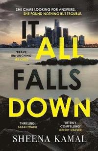 bokomslag It All Falls Down