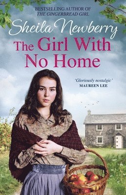 bokomslag The Girl With No Home