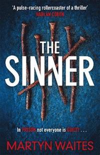 bokomslag The Sinner