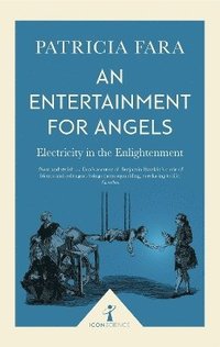 bokomslag Entertainment for Angels (Icon Science)