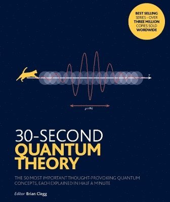 bokomslag 30-Second Quantum Theory