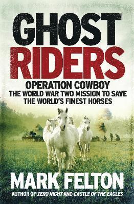 Ghost Riders 1