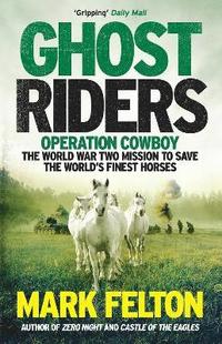bokomslag Ghost Riders