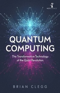 bokomslag Quantum Computing