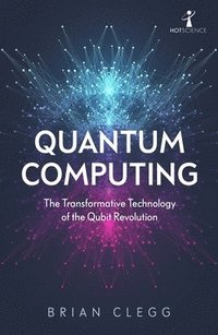 bokomslag Quantum Computing