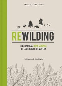bokomslag Rewilding  The Illustrated Edition