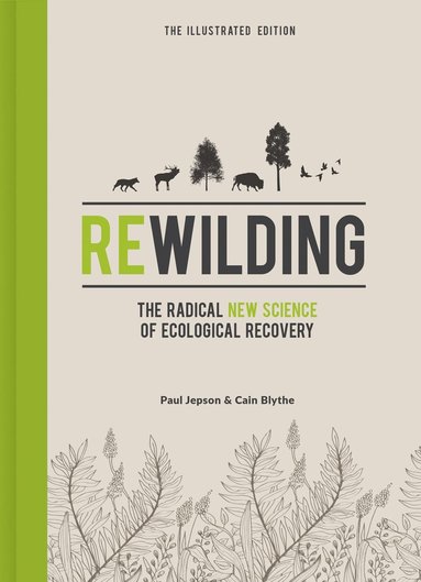 bokomslag Rewilding - The Illustrated Edition