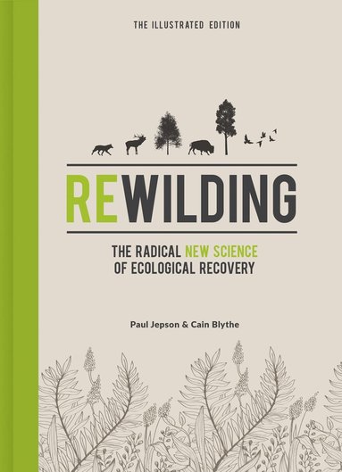 bokomslag Rewilding  The Illustrated Edition