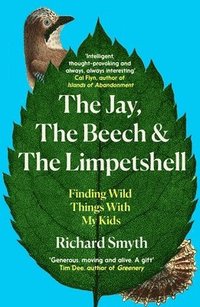 bokomslag The Jay, The Beech and the Limpetshell