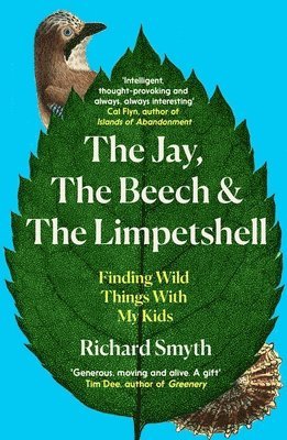 bokomslag The Jay, The Beech and the Limpetshell