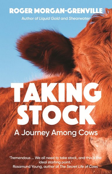Roger Morgan-Grenville - Taking Stock, Häftad
