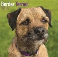 bokomslag Border terrier calendar 2018
