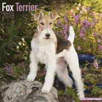 bokomslag Fox terrier calendar 2018