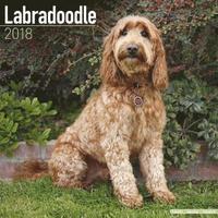 bokomslag Labradoodle calendar 2018