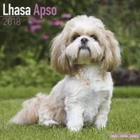 bokomslag Lhasa apso calendar 2018