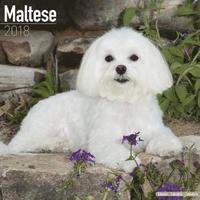 bokomslag Maltese calendar 2018