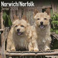 bokomslag Norwich/norfolk terrier calendar 2018