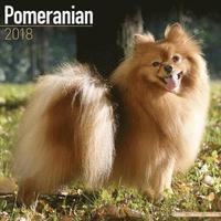 bokomslag Pomeranian calendar 2018