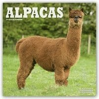 bokomslag Alpacas 2018