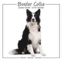 bokomslag Border collie studio calendar 2018