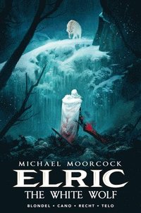 bokomslag Michael Moorcock's Elric Vol. 3: The White Wolf